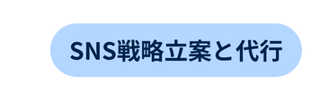 SNS戦略立案と代行