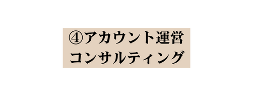 アカウント運営 コンサルティング