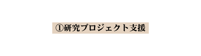 研究プロジェクト支援