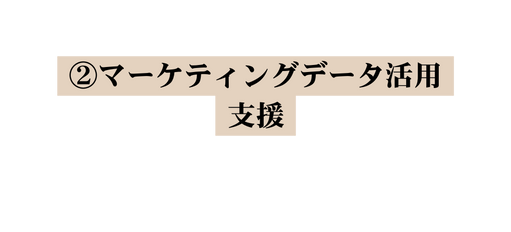 マーケティングデータ活用支援