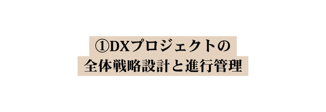 DXプロジェクトの 全体戦略設計と進行管理