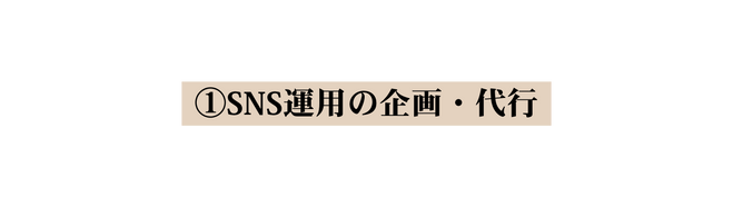 SNS運用の企画 代行